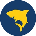 icon shark